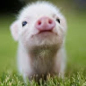 Meet your Posher, Katherine